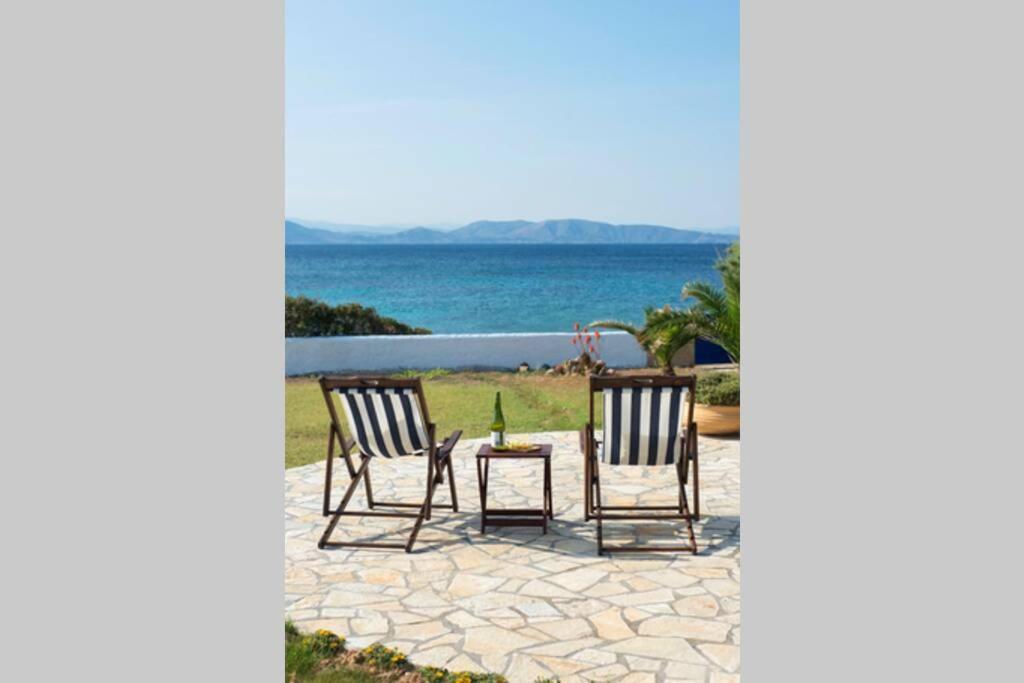 Palmaya Villa, Unique Seafront Experience Vagia  Екстериор снимка