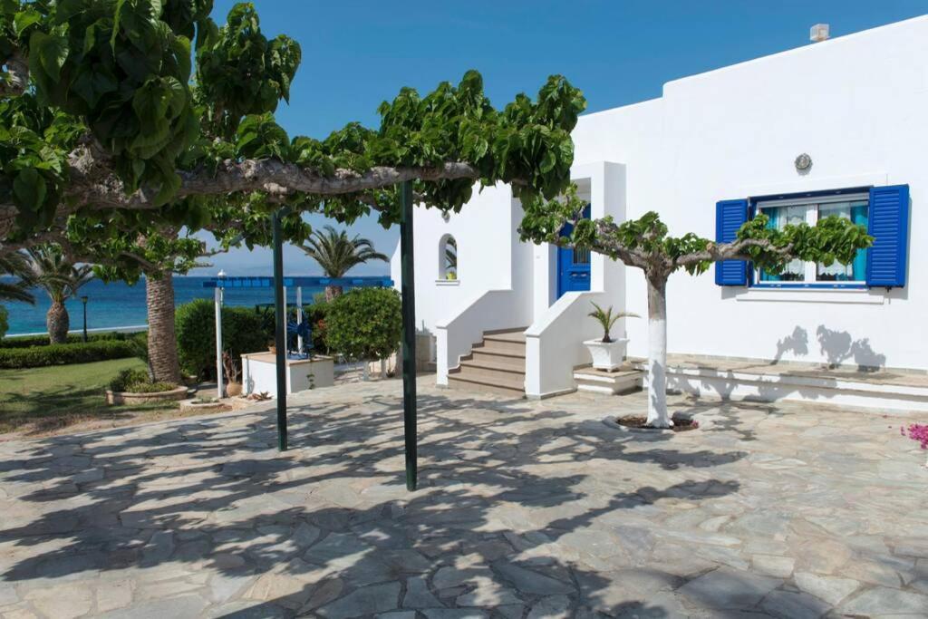 Palmaya Villa, Unique Seafront Experience Vagia  Екстериор снимка