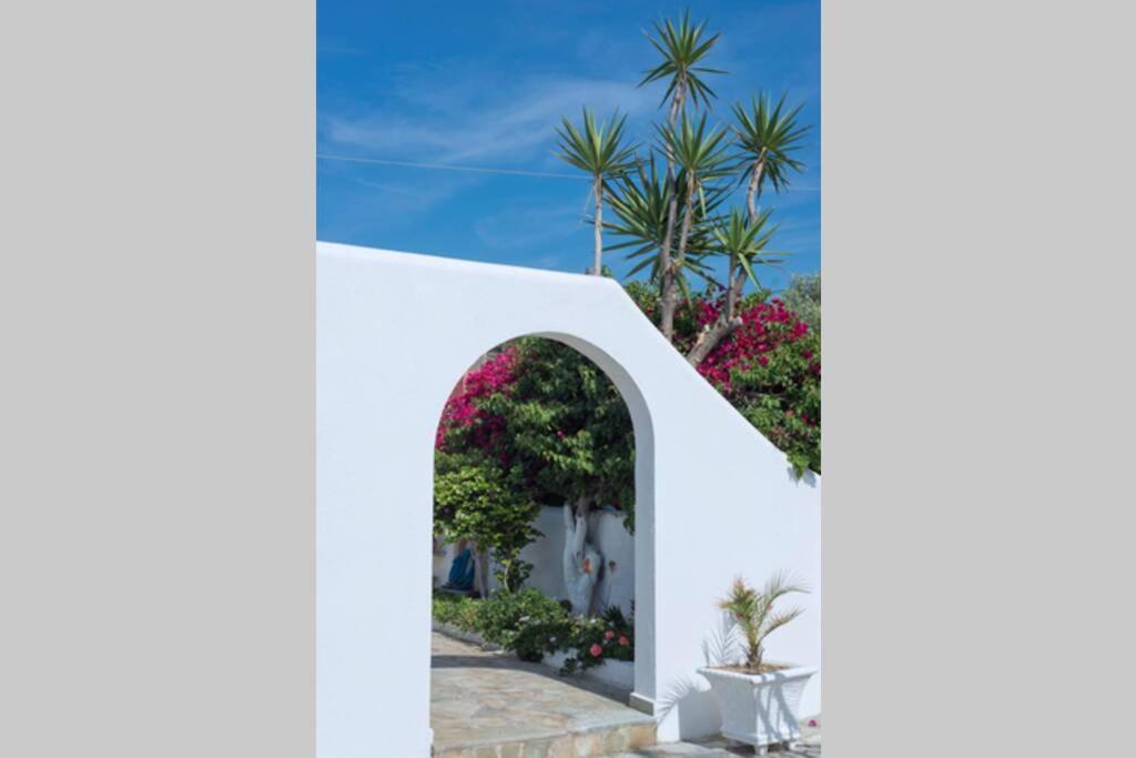 Palmaya Villa, Unique Seafront Experience Vagia  Екстериор снимка