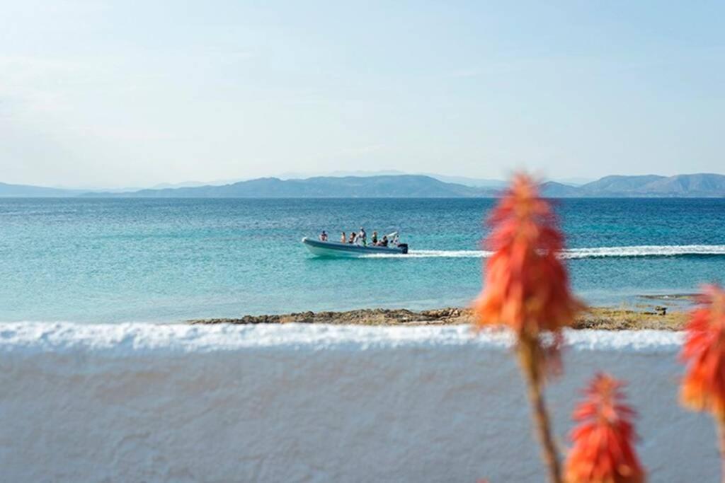 Palmaya Villa, Unique Seafront Experience Vagia  Екстериор снимка