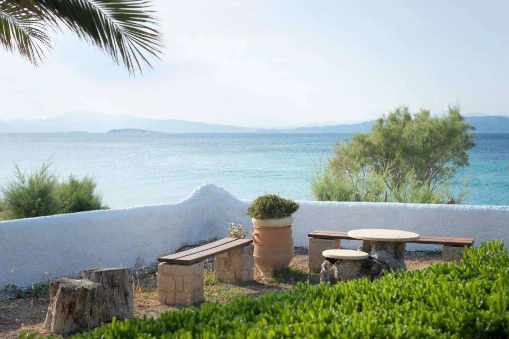 Palmaya Villa, Unique Seafront Experience Vagia  Екстериор снимка